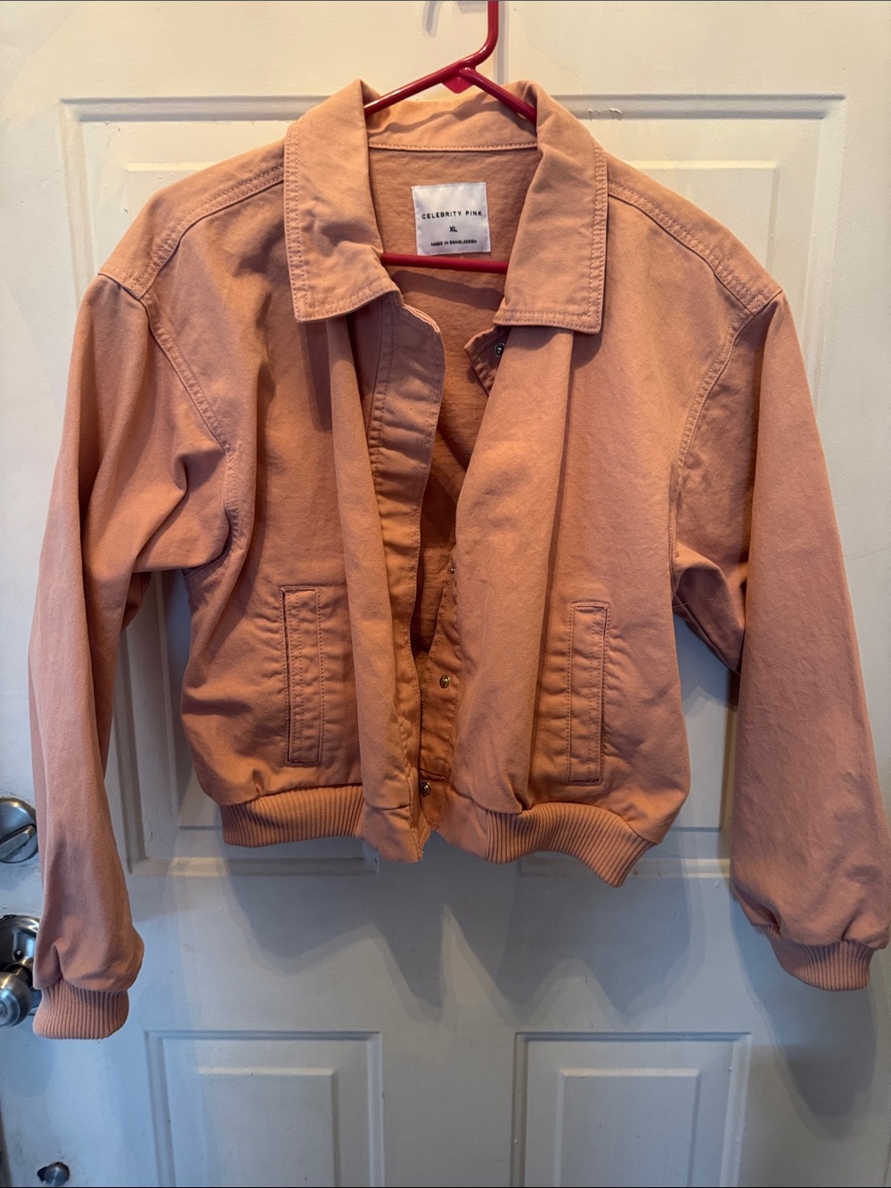 Celebrity Pink Dusty Blush Bomber Jacket